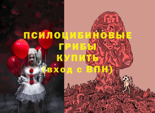 молекула духа Белокуриха